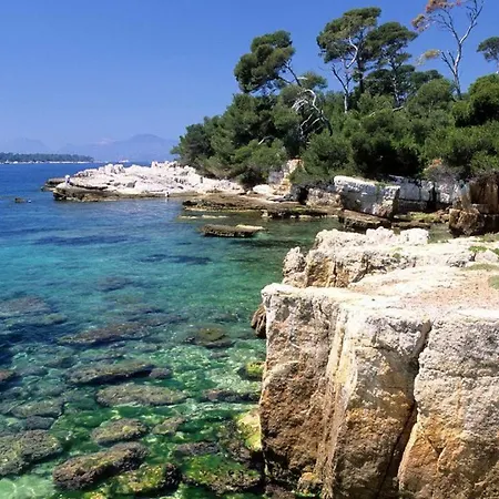 Gorgeous 2 Bedrooms Brand New 3 Avenue Paul Arene Lejlighed Antibes